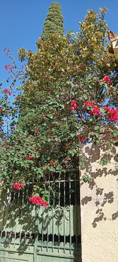 Athenian Asty Guesthouse Bagian luar foto